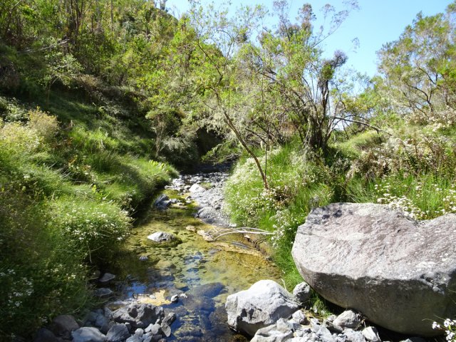 Près de l'îlet, le ruisseau est très paisible