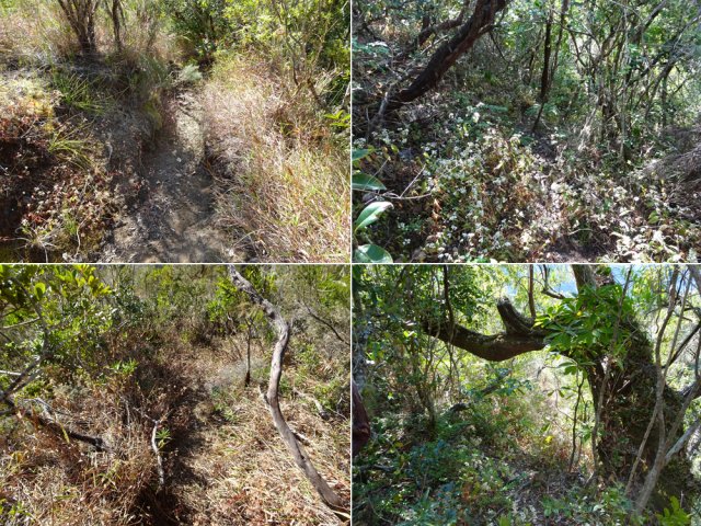 Le sentier reste toujours visible