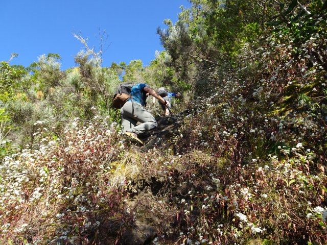 Pente très forte avant la barre rocheuse