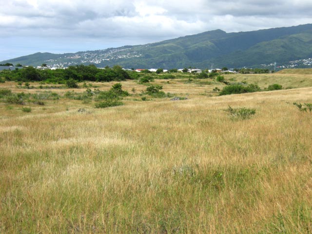 Très belle savane entre la rivière et le Port