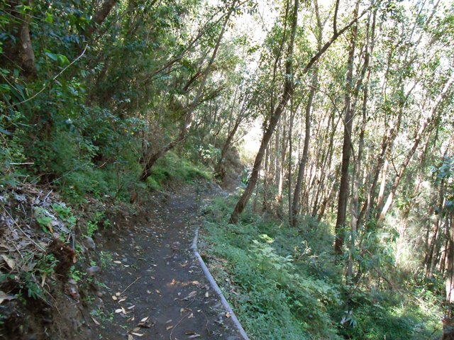 Sentier en pente faible longé par la canalisation