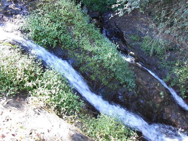 Elles créent un agréable bruit d'eau