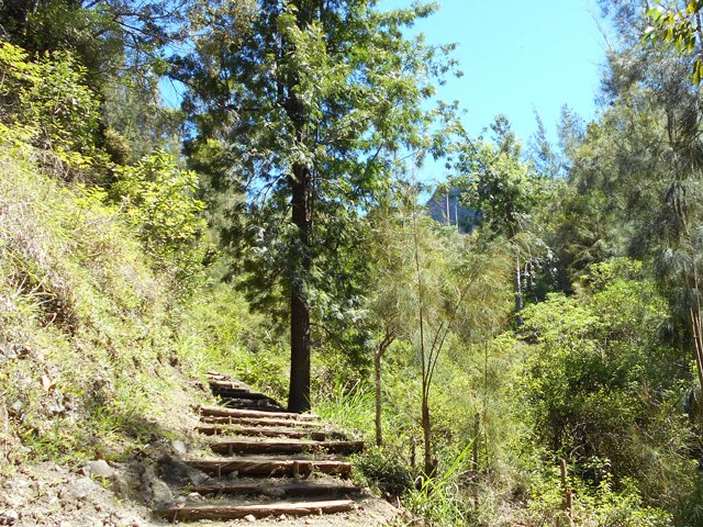 La remontée, un peu forte, est assez courte