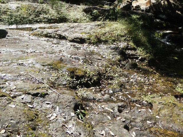 Par temps humide cette plaque peut être glissante