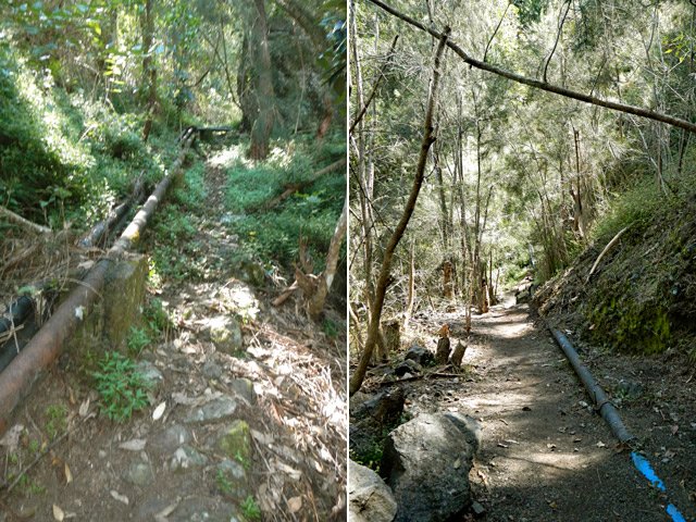La tuyauterie laisse largement la place pour marcher