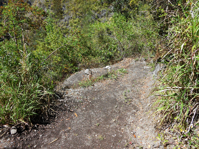Le sentier qui remonte au stade comporte des lacets sableux