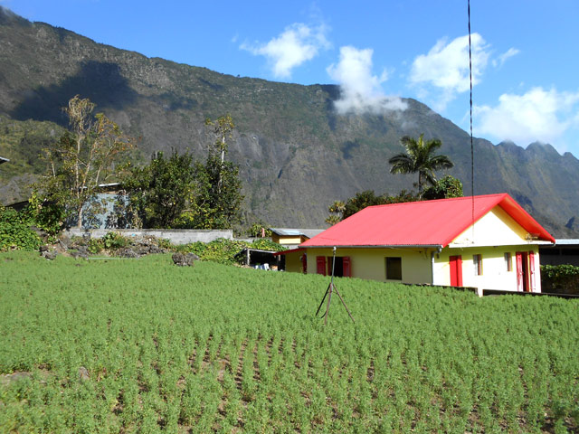 Le sentier de raccourci longe des jardins transformés en champs de lentilles