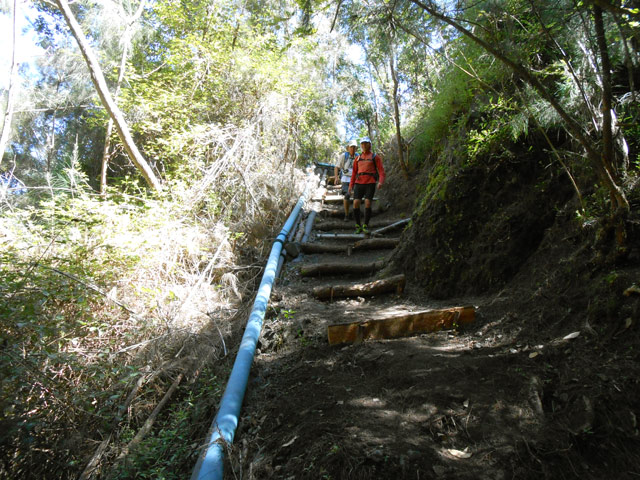 Sentier bien dégagé près de la tuyauterie