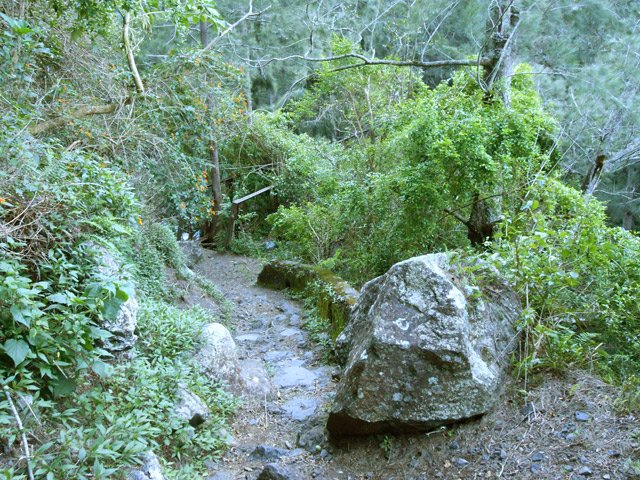Le rocher avant l'arrivée à la passerelle sur le Bras de Benjoin