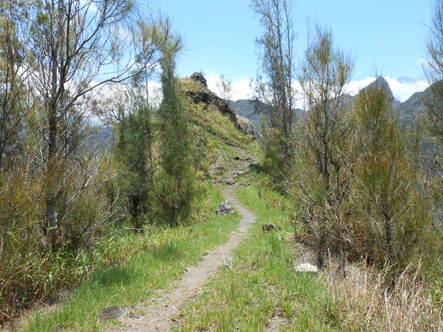 Quand il ne monte pas fortement le sentier vers Îlet Haute est agréable