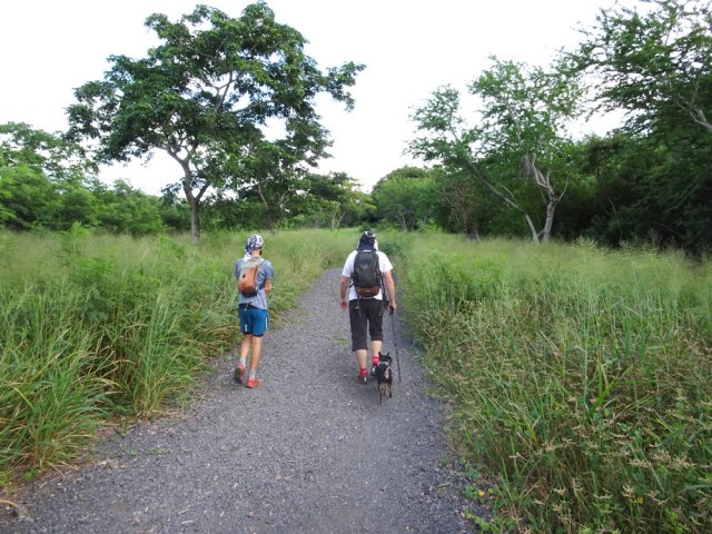 La piste DFCI des Tamarins, un peu bruyante mais à plat