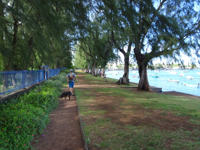 L'agréable sentier ombragé longeant le Bassin Pirogue