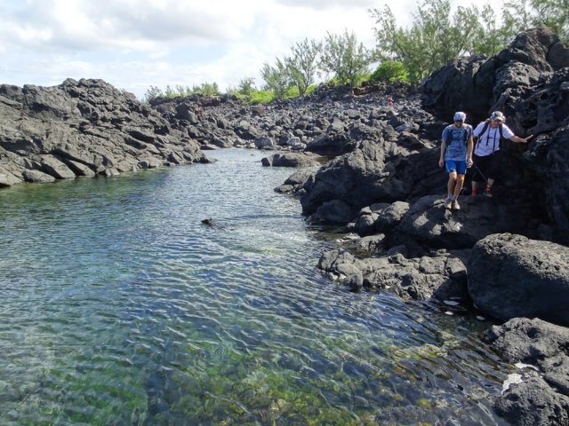 Crochet par le Bassin Sardines