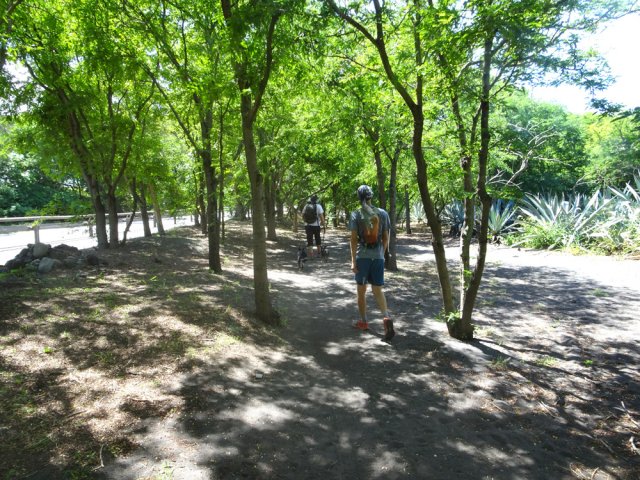 Le sentier sableux longeant la piste cyclable
