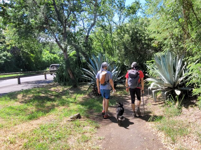 Peu d'ombre et toujours du soleil