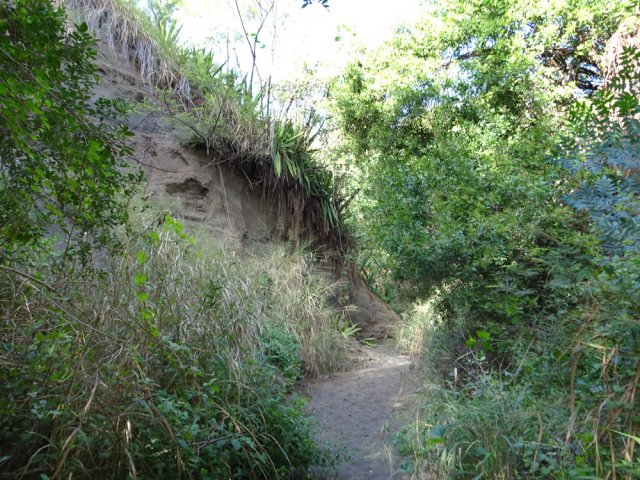Les premières dunes noires et le fond sableux de la ravine