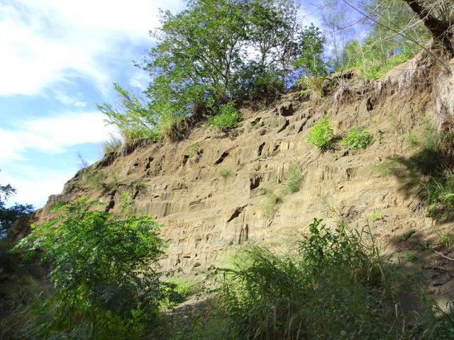 La falaise de sable usée davantage par les graffitis que par le vent et la pluie !