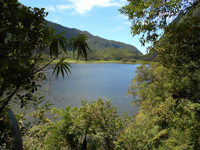 Une vue de l'étang de l'échelle de raccourci pour ceux qui oseront l'aventure (facultatif)