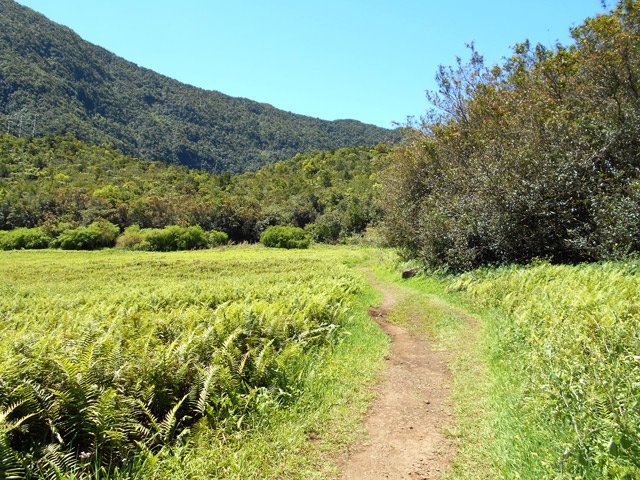 Fin de la boucle entre fougères et jamrosats