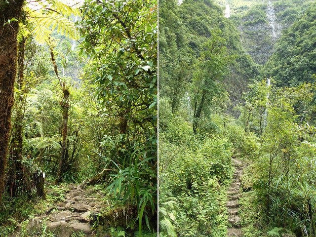 Bois de couleurs et les dernières marches avant les cascades