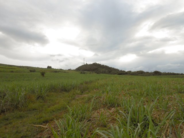 Au loin, le Piton du Calvaire sert de boussole