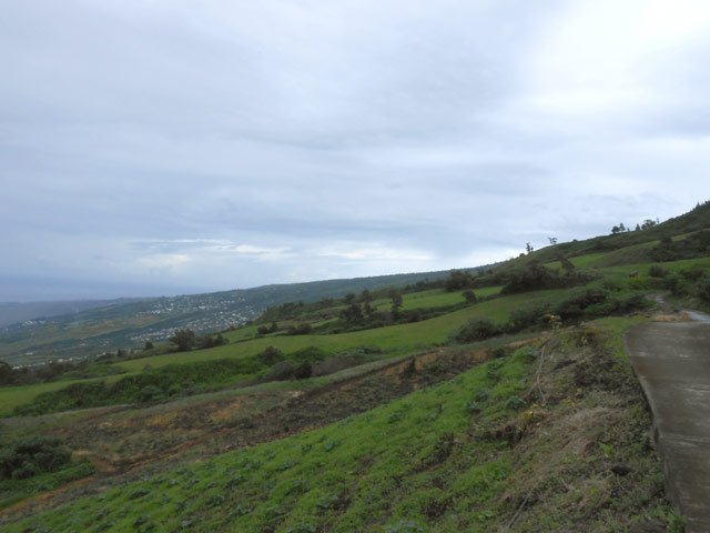 On rencontre également quelques cultures dans les prairies
