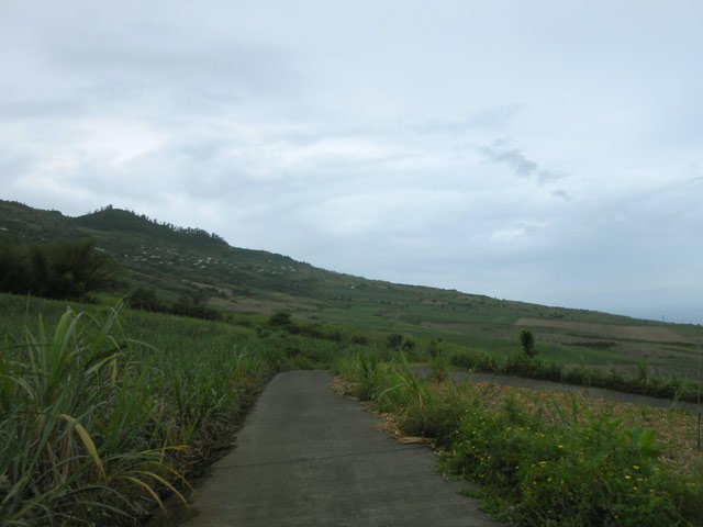 Derniers hectomètres avant de retrouver la RD31.