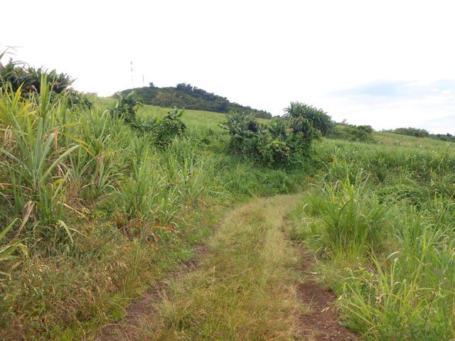 Une autre portion de la piste dans la montée