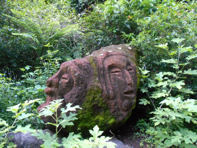 Une autre dans la végétation, rive droite