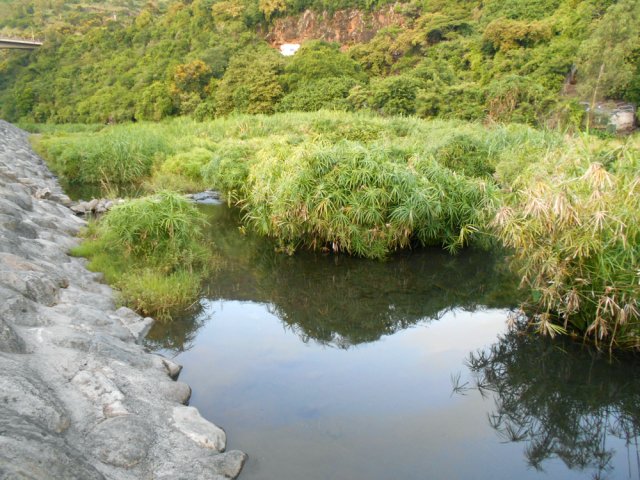 La Rivière Saint-Denis est ici très calme par rapport à l'amont