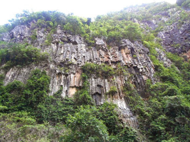 La falaise verticale constituée d'orgues basaltiques