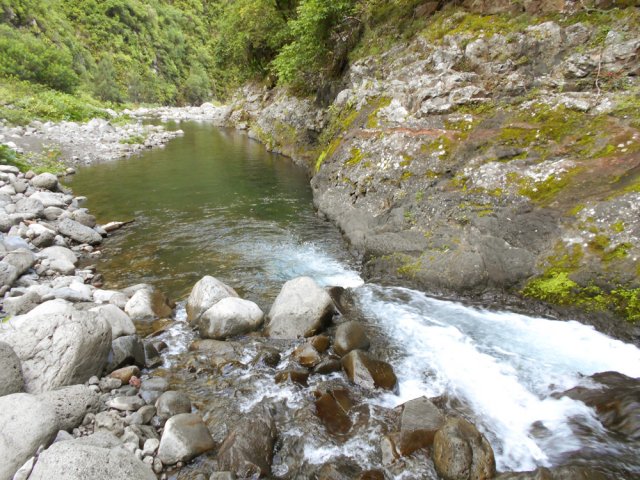 Agréable bassin à réserver pour la baignade du retour