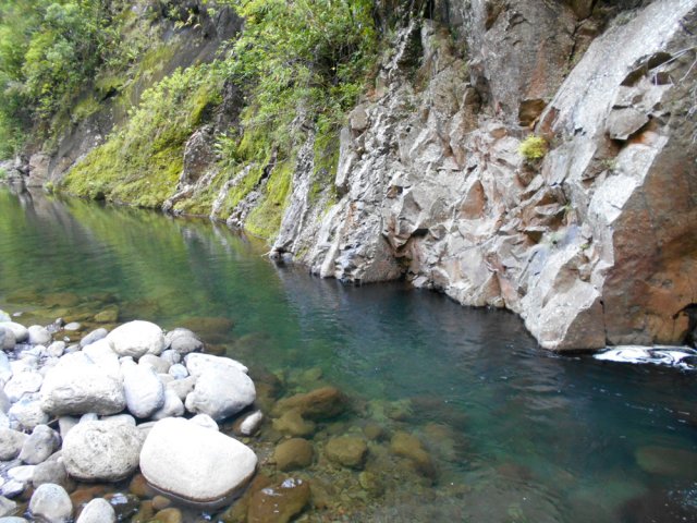Repérer les cabots et chevrettes dans ce type de bassin