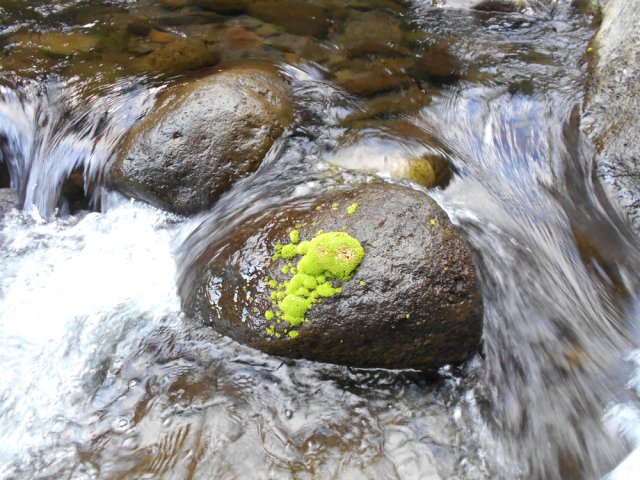 Une idée du courant et des pierres glissantes