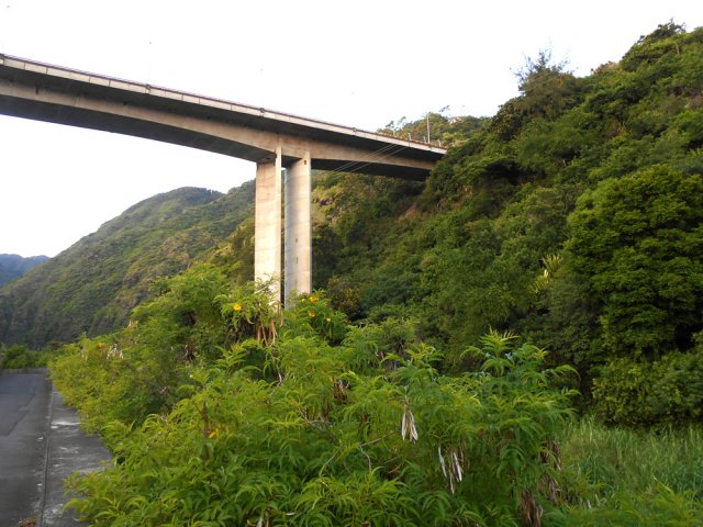 Du bas, le pont Vinh San parait très hau