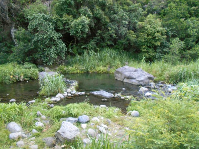 Des bassins aménagés tout près des habitations