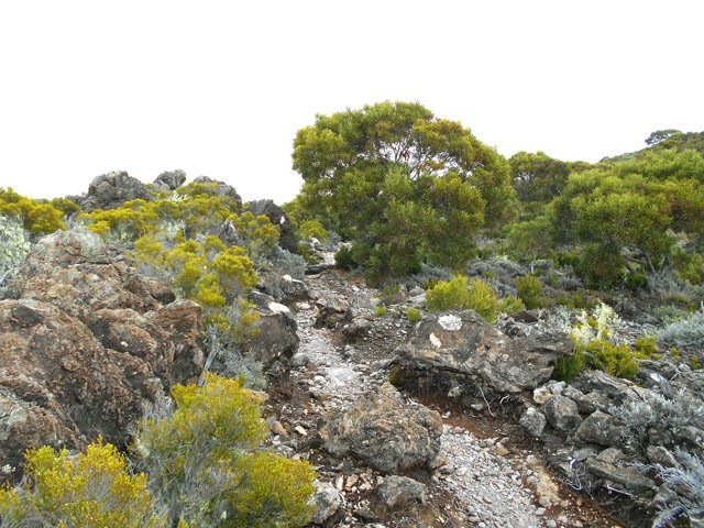 On chemine sur de petits cailloux à travers les roches plus grosses