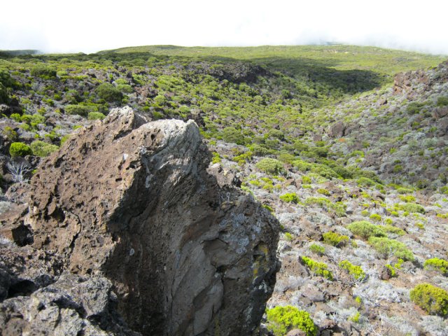 Point de vue sur la Ravine de la Chaloupe