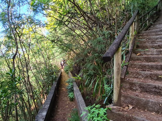 Poursuivre l'exploration avant de reprendre les escaliers