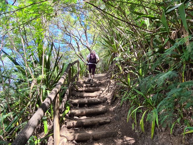 Reprendre la montée sur l'escalier de rondins