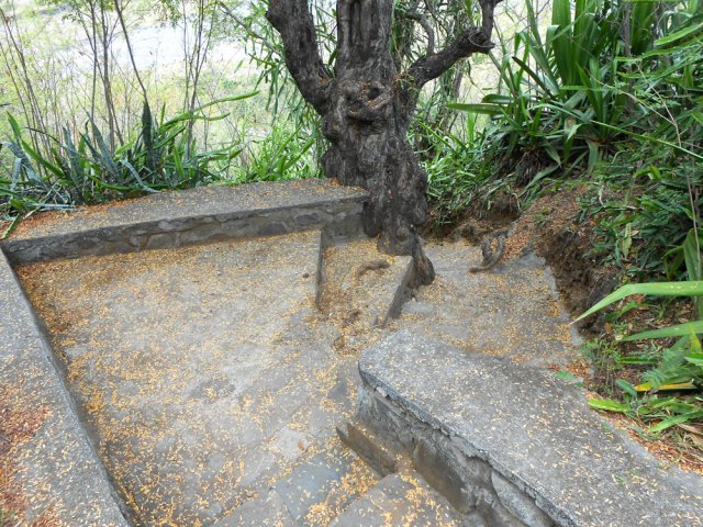 La suite du sentier est bétonnée et bordée de murets maçonnés