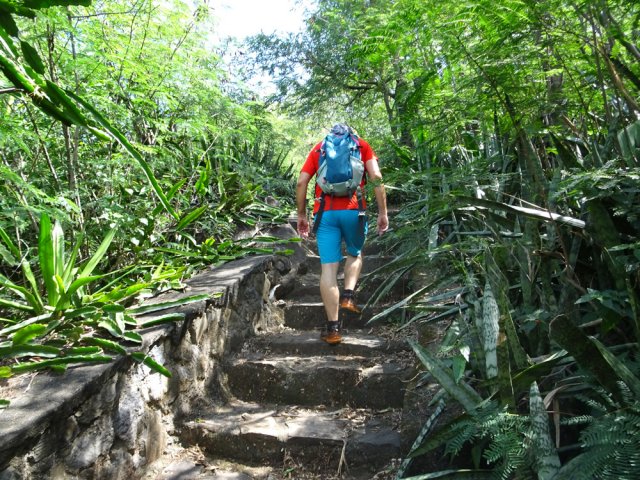 Faute d'entretien, les chocas prennent possession des lieux