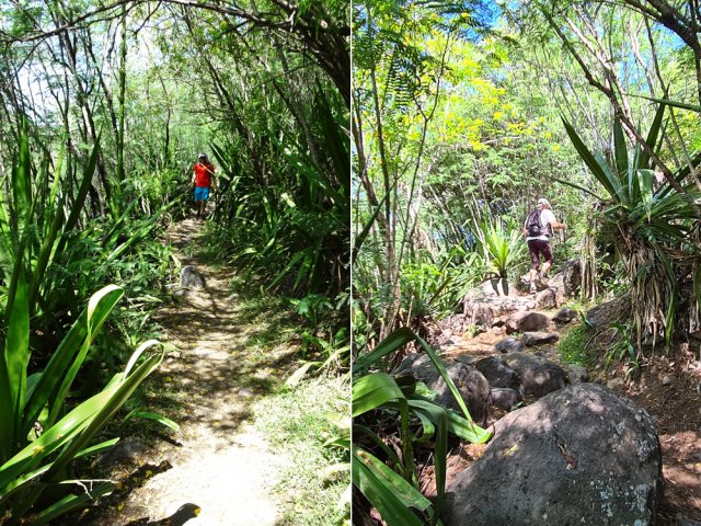 Le sentier permettant de rejoindre le Bras de Cilaos