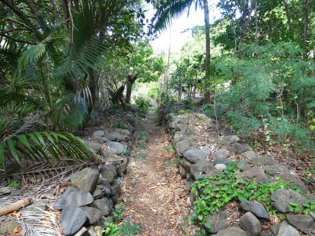 Le sentier de descente bordé de murets de pierres sèches