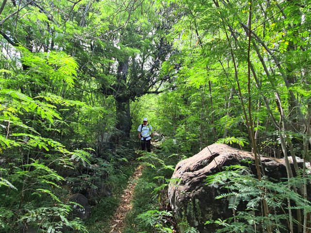 Descente rapide vers la route qu'on devine déjà au bruit des véhicules