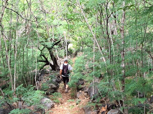 Difficile de repérer les anciennes cultures