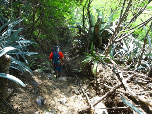 Un raccourci entre deux lacets