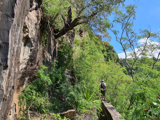 Marcher sur le mur si la végétation est trop touffue