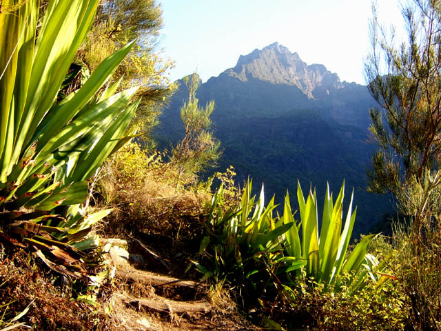 Le Piton des Neiges depuis le sentier vers la route de l'Ilet à Cordes