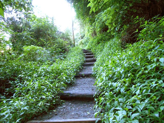 Il vaut mieux prendre le sentier des Porteurs que le route en lacets